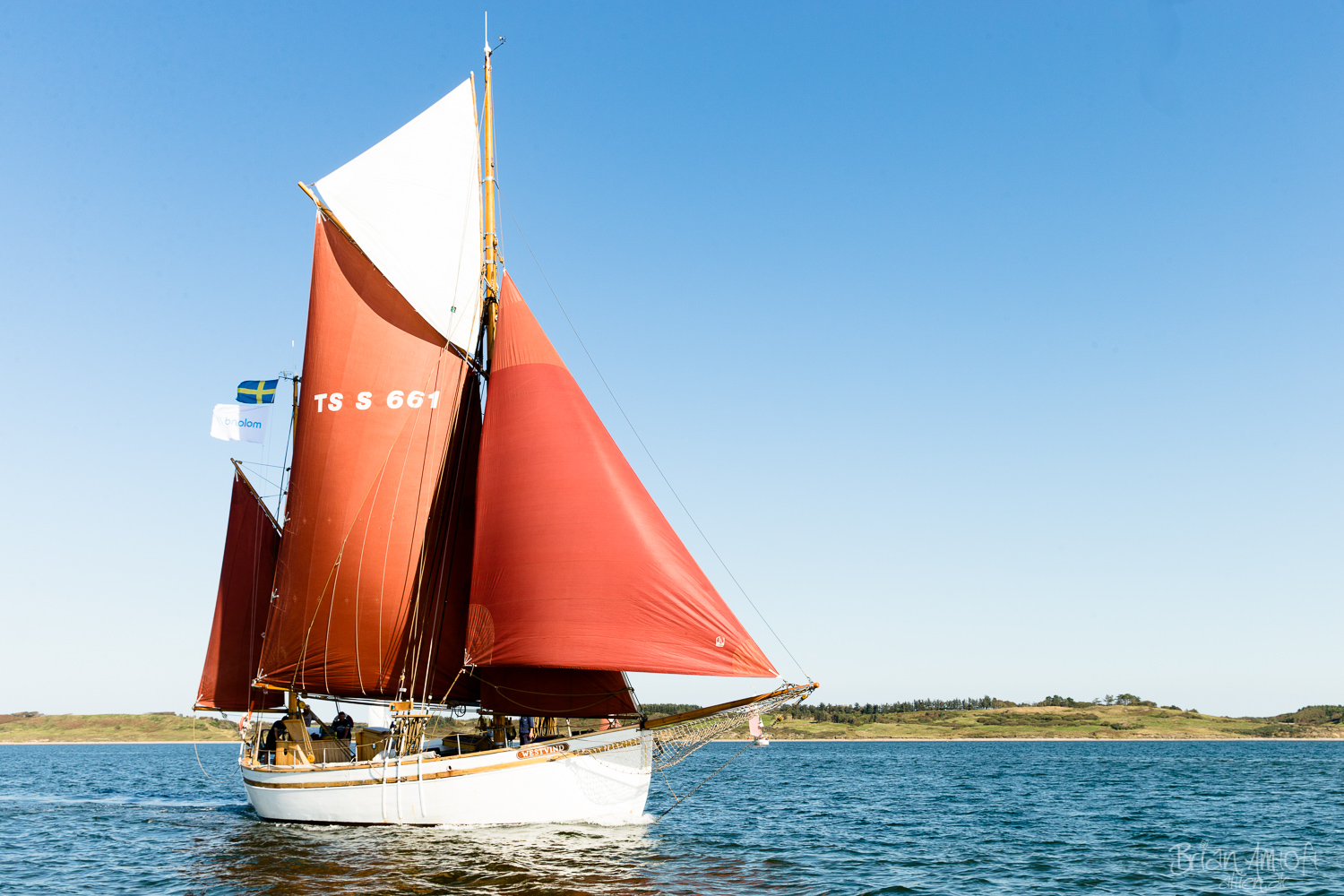 Billede af Westvind