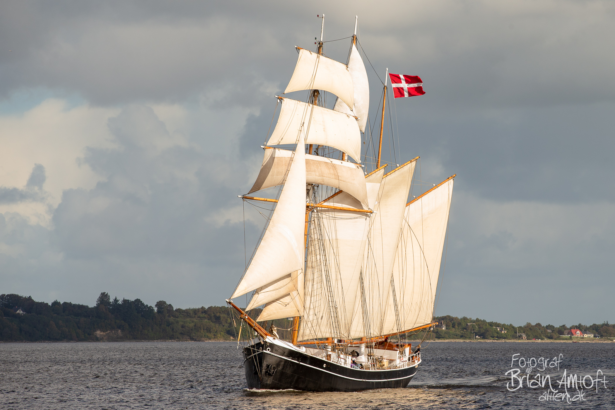 Billede af Maja