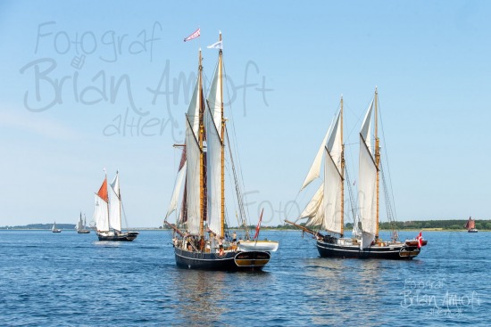 Alle skibsfoto Fyn Rundt,Halmø,Johanne,Træskib,