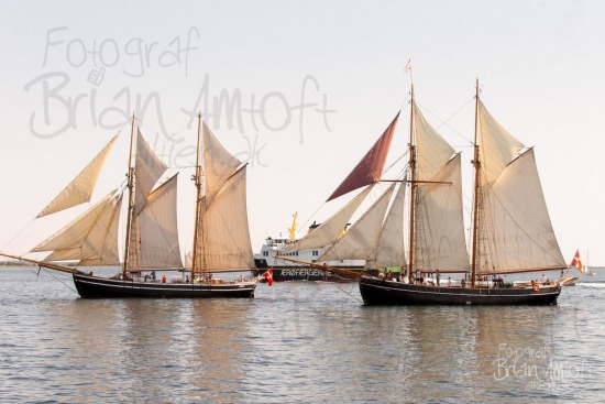 Alle skibsfoto Fyn Rundt,Halmø,Johanne,Træskib,Ærøfærge,