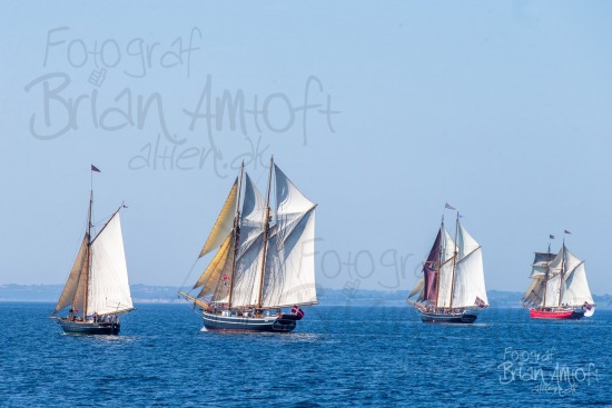 Alle skibsfoto Atalanta,Fyn Rundt,Halmø,Johanne,Lilla Dan,Træskib,Valkyrien,felt,