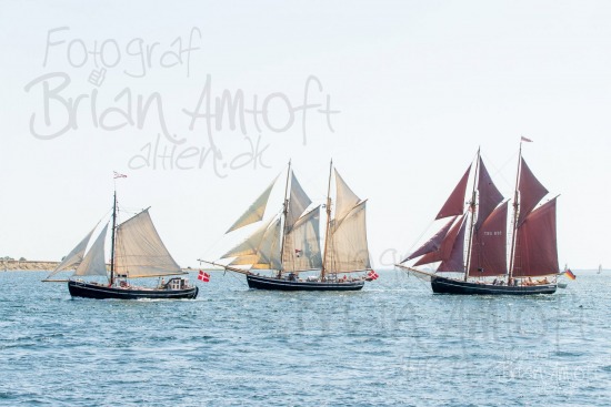 Alle skibsfoto Fyn Rundt,Johanne,Mjølner,Træskib,Zuversicht,