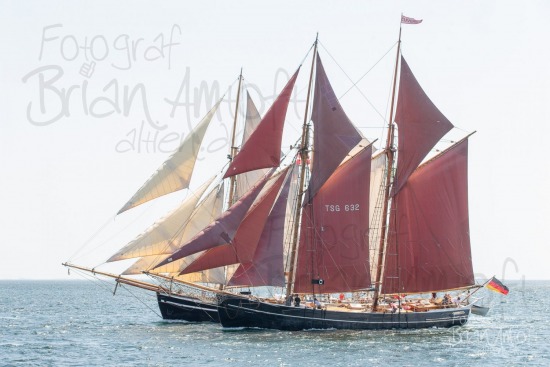 Alle skibsfoto Fyn Rundt,Johanne,Træskib,Zuversicht,