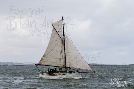 Alle skibsfoto Limfjord,Limfjorden Rundt,Træskib,Viktoria,