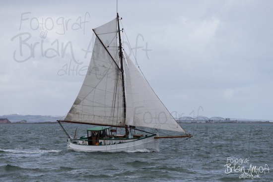 Alle skibsfoto Limfjord,Limfjorden Rundt,Træskib,Viktoria,