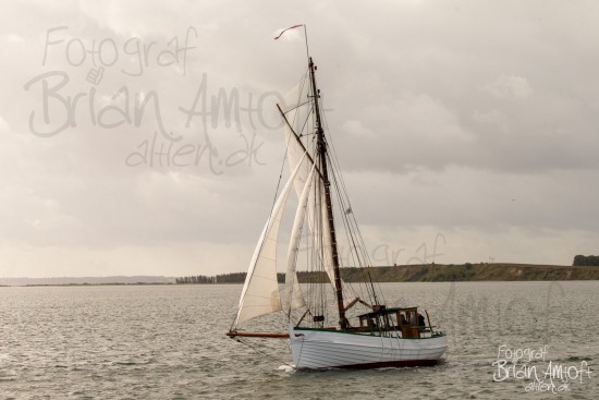 Alle skibsfoto Limfjord,Limfjorden Rundt,Træskib,Viktoria,