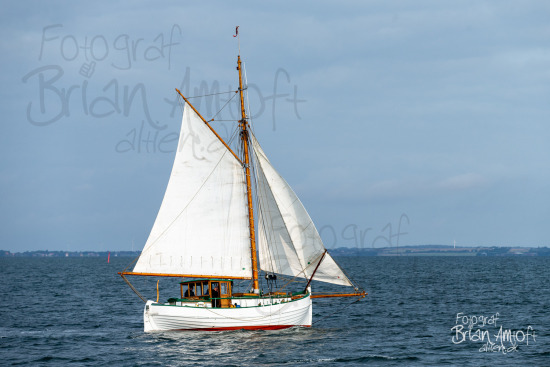 Alle skibsfoto Limfjorden Rundt,MHV 902,Manø,Nykøbing-Fur,Viktoria,