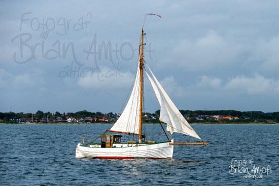 Alle skibsfoto Limfjorden Rundt,MHV 902,Manø,Nykøbing-Fur,Viktoria,