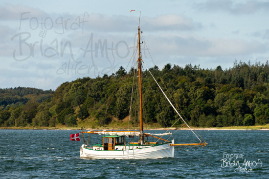 Alle skibsfoto Limfjorden Rundt,MHV 902,Manø,Struer-Nykøbing,Viktoria,