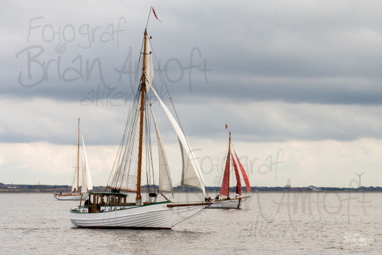 Alle skibsfoto Hjorten,Limfjorden Rundt,Løgstør-Thisted,Viktoria,