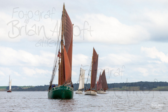 Alle skibsfoto Grønne Erna,Kvituren,Limfjorden Rundt,Løgstør-Thisted,Spray II,Viktoria,