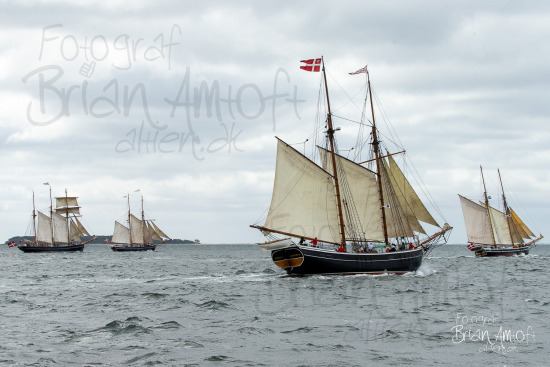 Alle skibsfoto Assens - Fåborg,Bonavista,Fyn Rundt,Halmø,Hercules,Johanne,MHV 812,Zar,