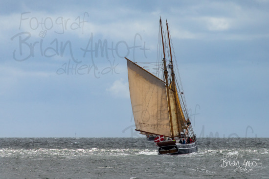 Alle skibsfoto Assens - Fåborg,Fyn Rundt,Hercules,Johanne,MHV 812,
