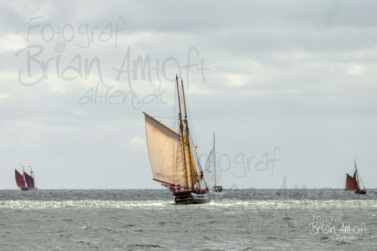 Alle skibsfoto Assens - Fåborg,Fyn Rundt,Hercules,Johanne,MHV 812,