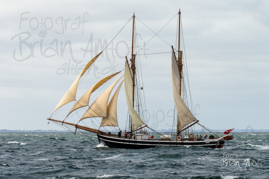 Alle skibsfoto Assens - Fåborg,Fyn Rundt,Hercules,Johanne,MHV 812,