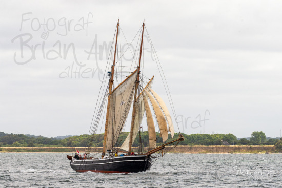 Alle skibsfoto Assens - Fåborg,Fyn Rundt,Hercules,Johanne,MHV 812,