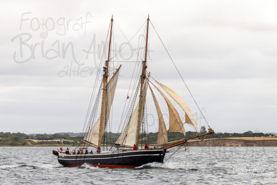 Alle skibsfoto Assens - Fåborg,Fyn Rundt,Hercules,Johanne,MHV 812,
