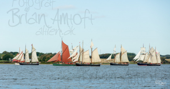 Alle skibsfoto Boy Leslie,Feltet,Kvartsita,Martha,Northern Grace,Skibladner II,Westvind,