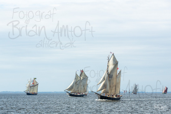 Alle skibsfoto Agape,Kvartsita,Martha,Skibladner II,
