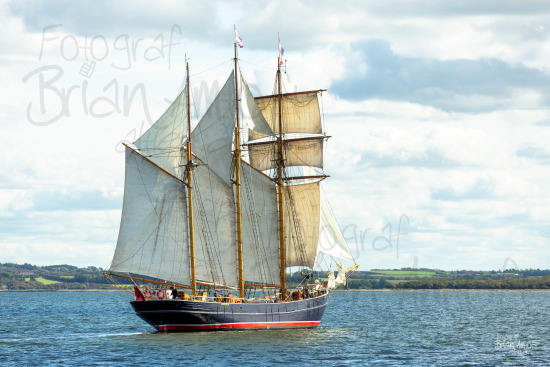 https://altien.dk/sy-photos/2023/10/31/14/small_904988_Brian-Amtoft-_MG_4943.jpg