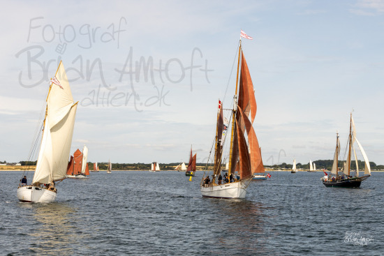 Alle skibsfoto Guldborgsund,Haabet,Noatun,