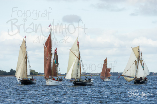 Alle skibsfoto Berta,Feltet,Kirstine,Klitta,Noatun,Viking,