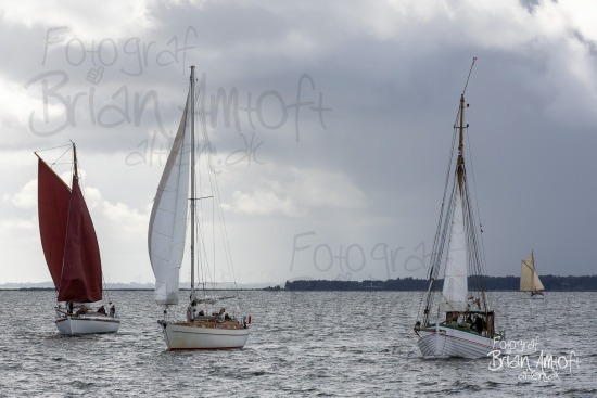 Alle skibsfoto 