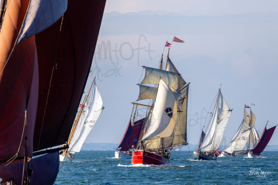 Limfjorden Rundt 2025